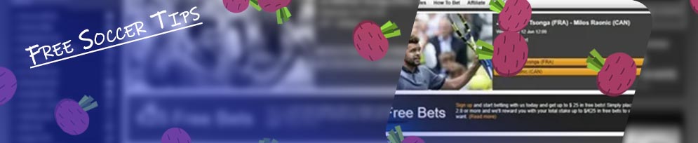 Freesoccertips net free soccer predictions free