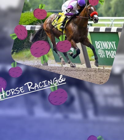 Horse racing payouts